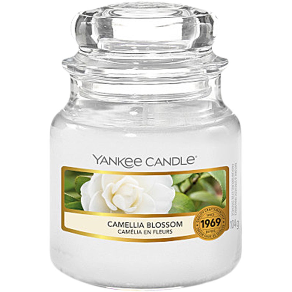 Classic Large - Camelia Blossom Classic Large - Camelia Blossom